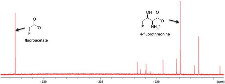 Figure 17