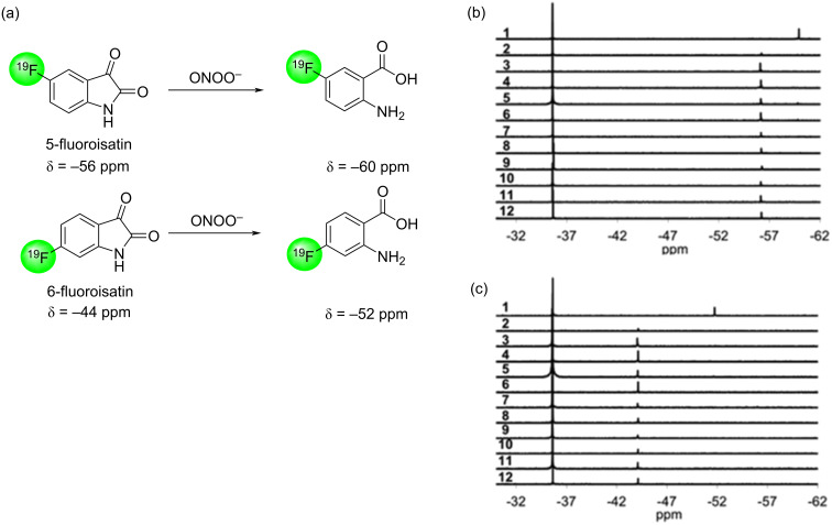 Figure 22