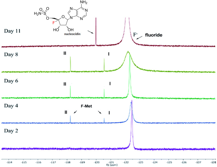 Figure 18