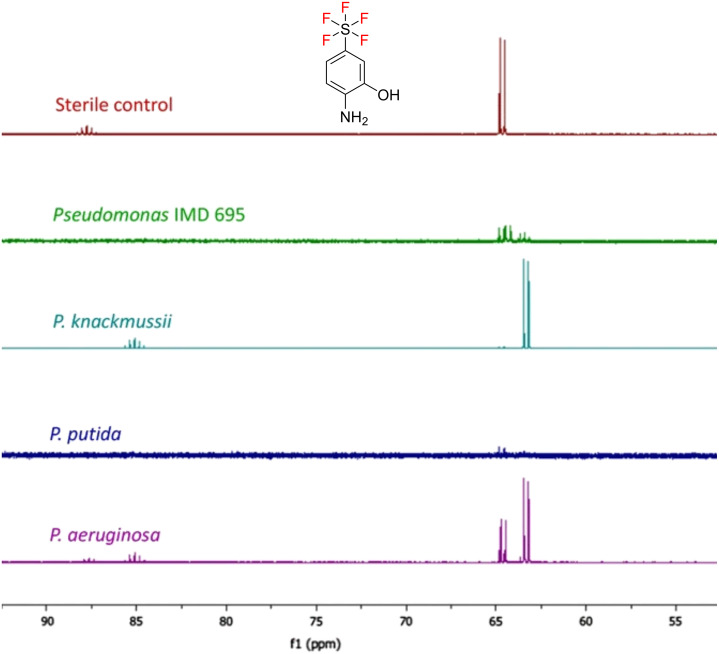 Figure 16