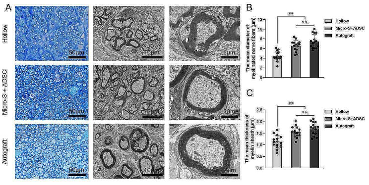 Fig. 10