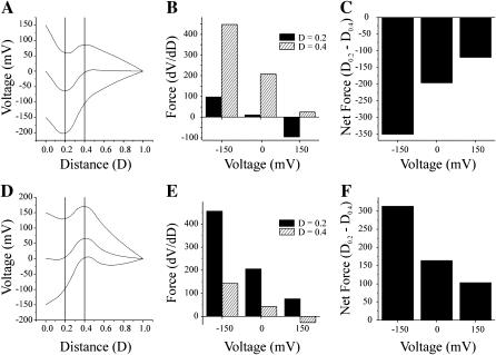 FIGURE 13