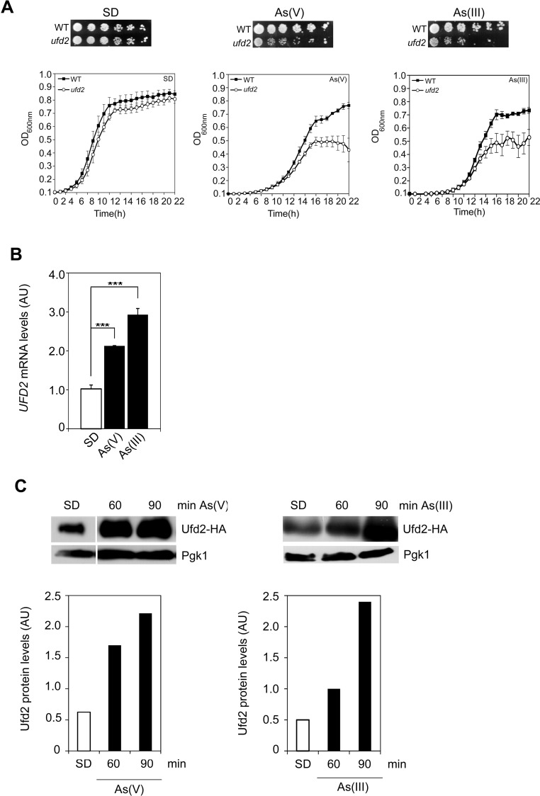 Fig. 3.