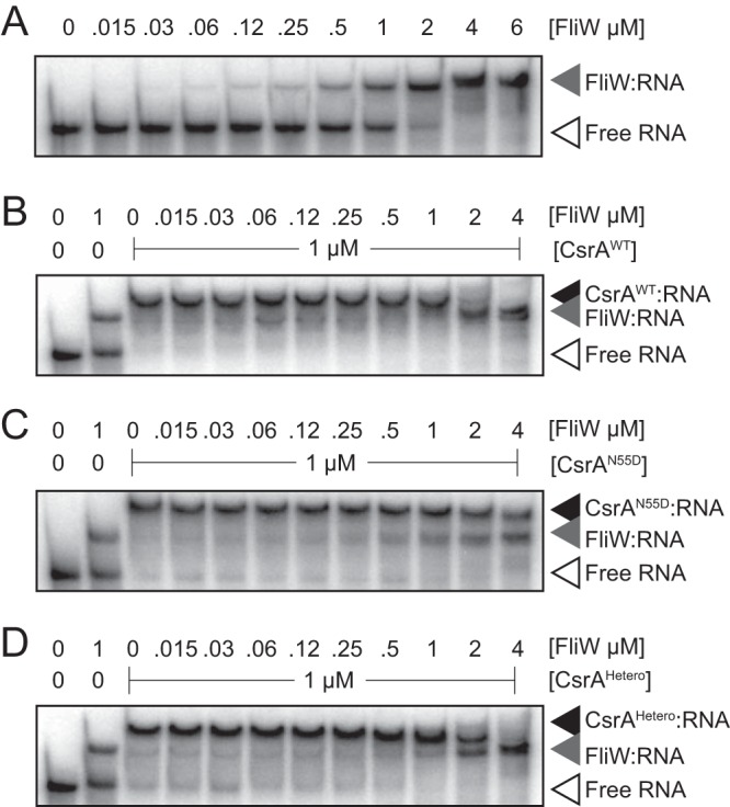 FIG 3