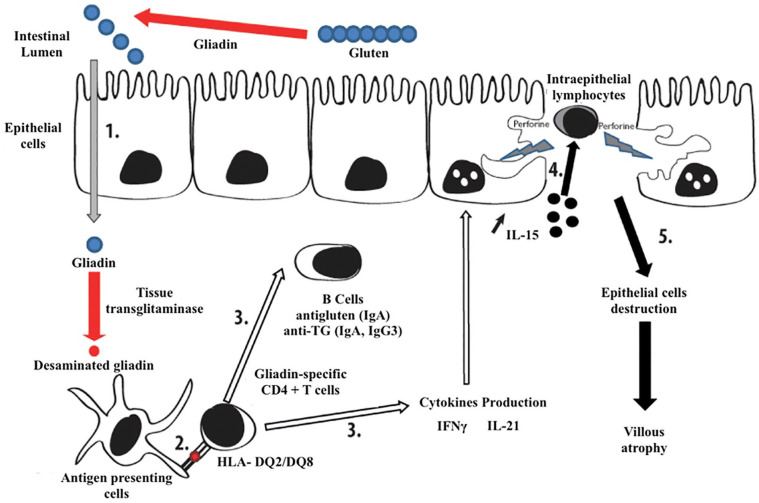 Figure 1.