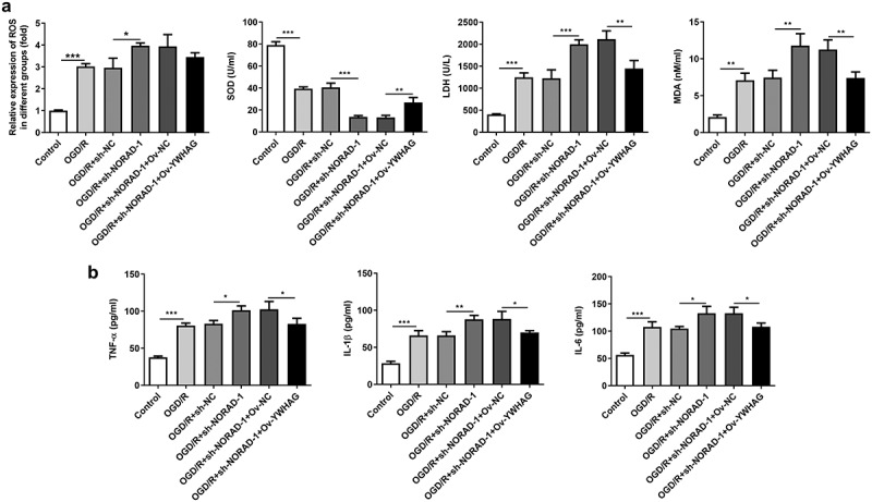 Figure 10.