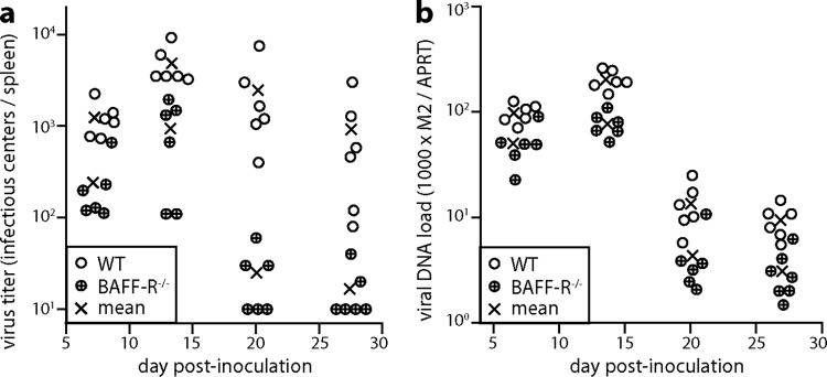 FIG 3