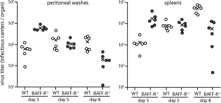 FIG 2