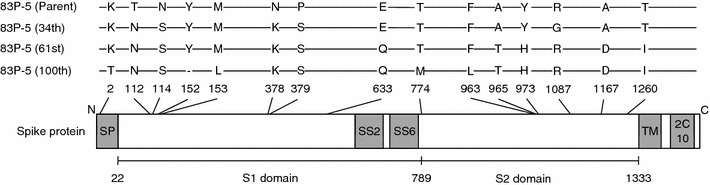 Fig. 1