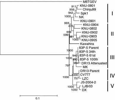 Fig. 3