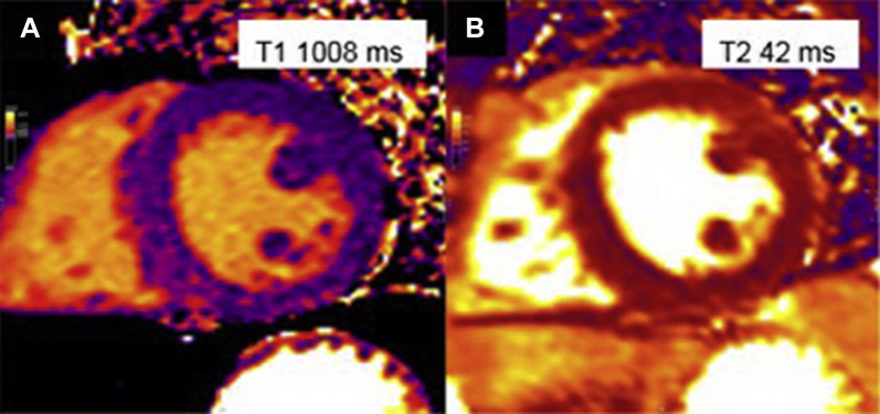 Figure 9