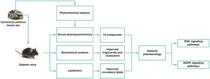 GRAPHICAL ABSTRACT