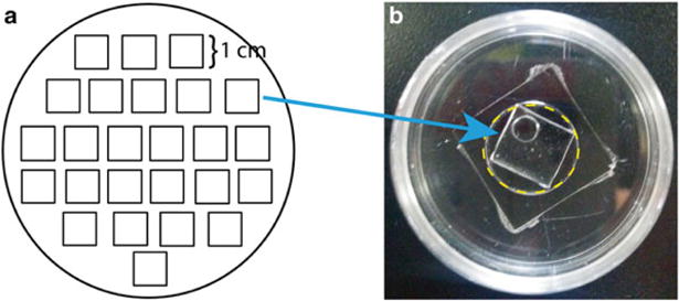 Fig. 3