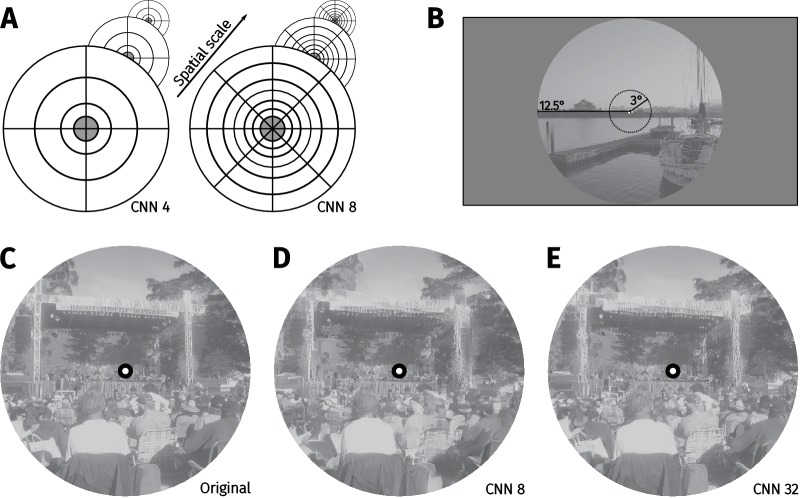 Appendix 2—figure 1.