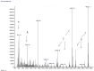 Fig 7