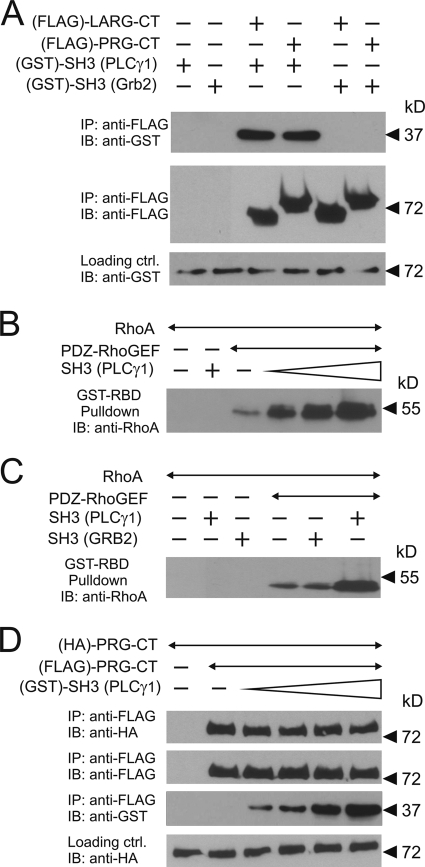 FIG. 7.