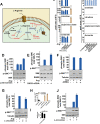 Figure 1—figure supplement 2.