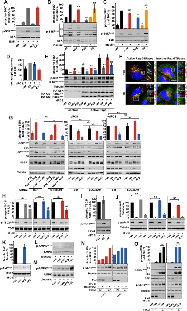 Figure 1—figure supplement 3.