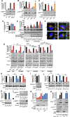 Figure 1—figure supplement 3.