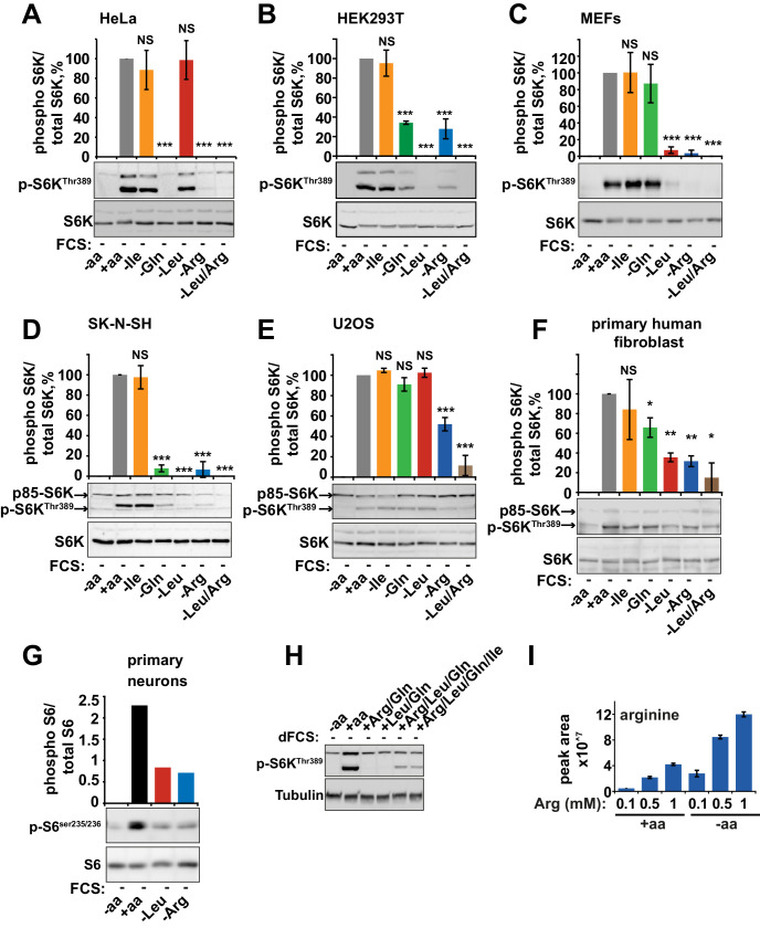 Figure 1—figure supplement 1.