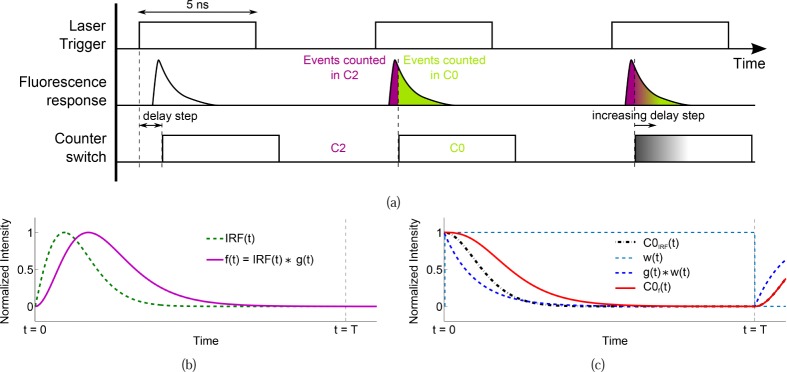 Fig. 3: