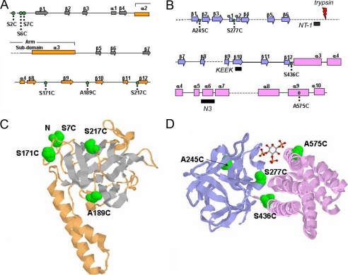 FIGURE 1.