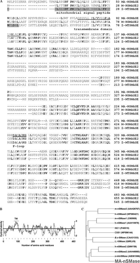 FIGURE 1.