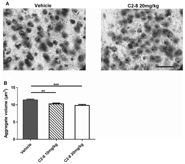 Fig. 6