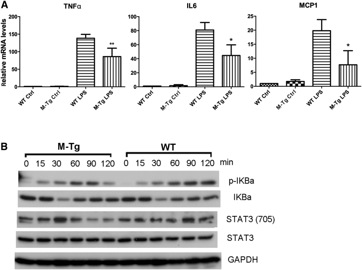 Figure 6