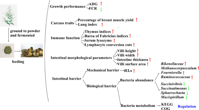 Image, graphical abstract