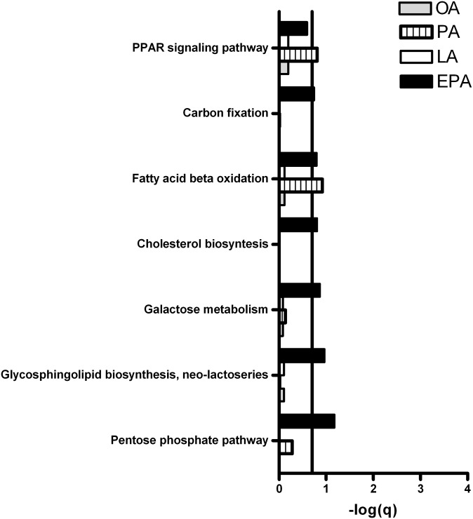 Fig. 10.