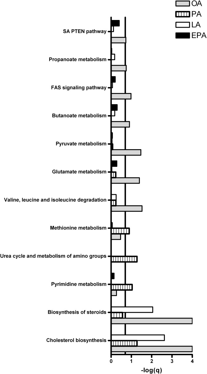 Fig. 11.