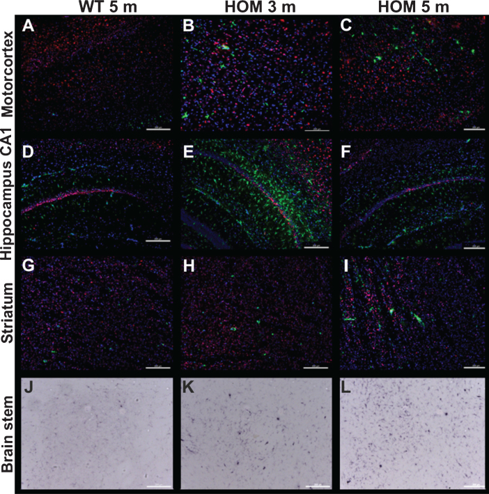 Fig.9