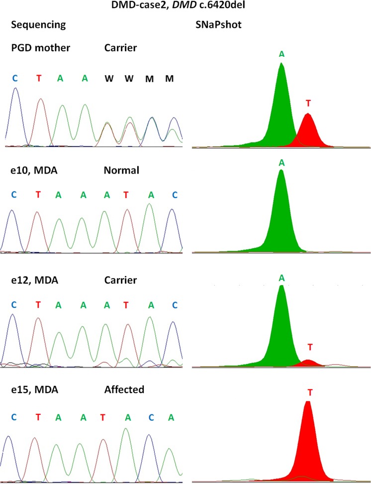 Fig. 3