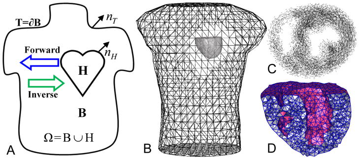 Fig. 1