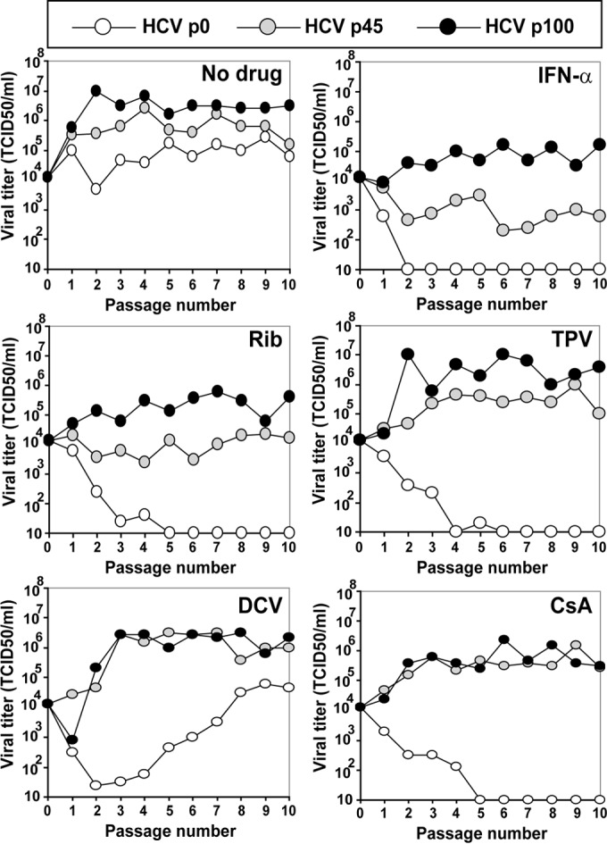 FIG 3