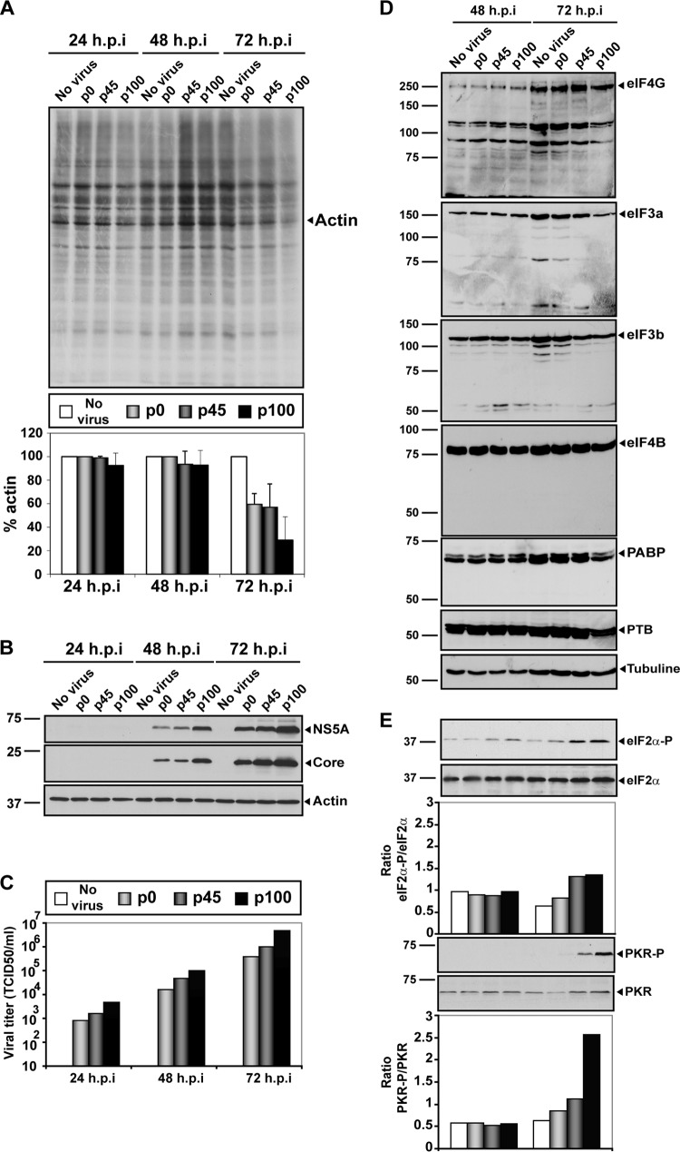 FIG 6