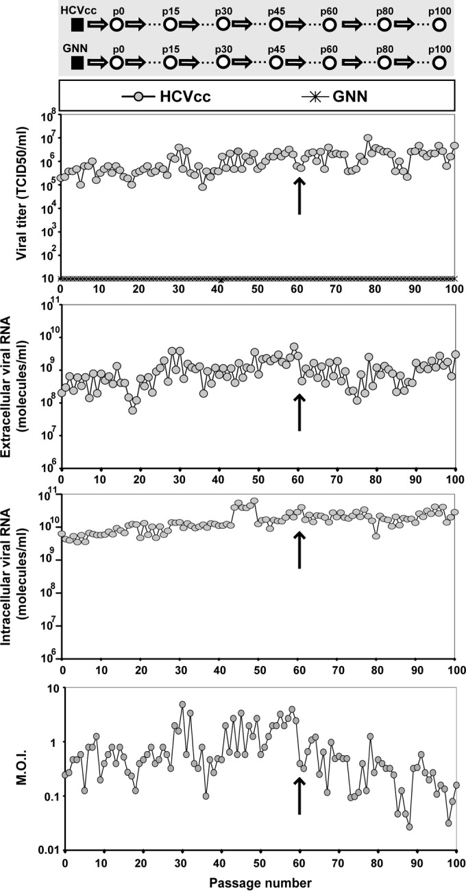 FIG 1