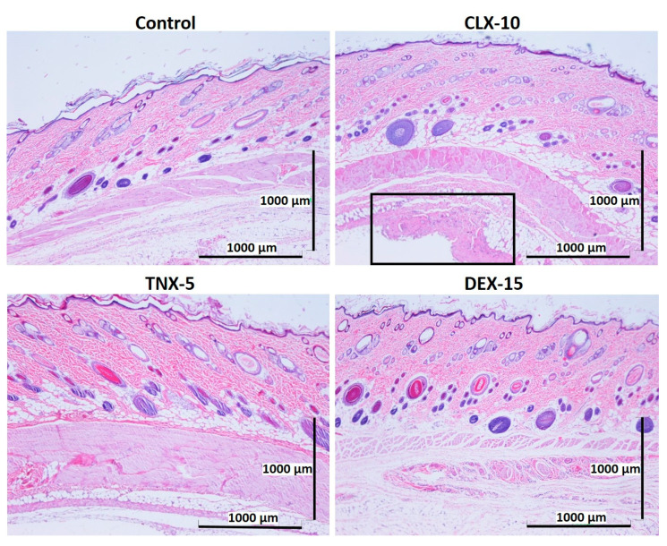 Figure 6