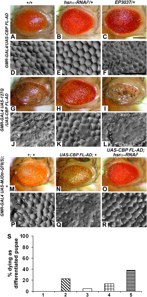 Figure 2.—