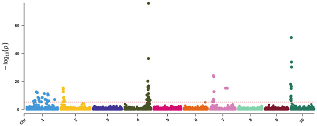 Figure 5