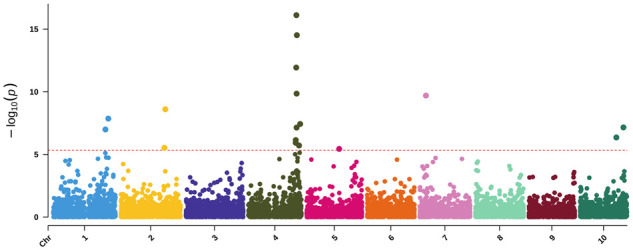 Figure 6