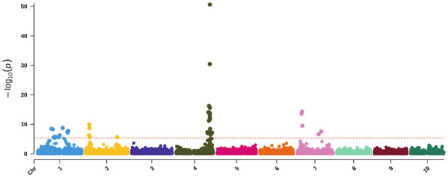 Figure 7