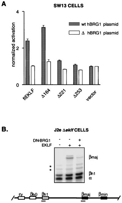 FIG. 7.