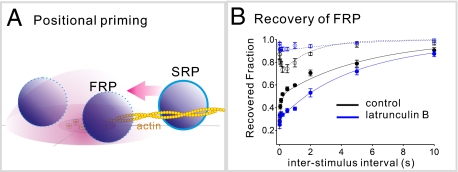 Fig. P1.