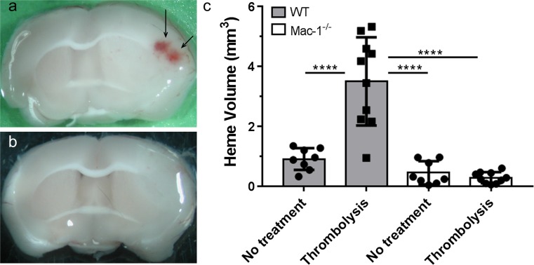 Fig. 9