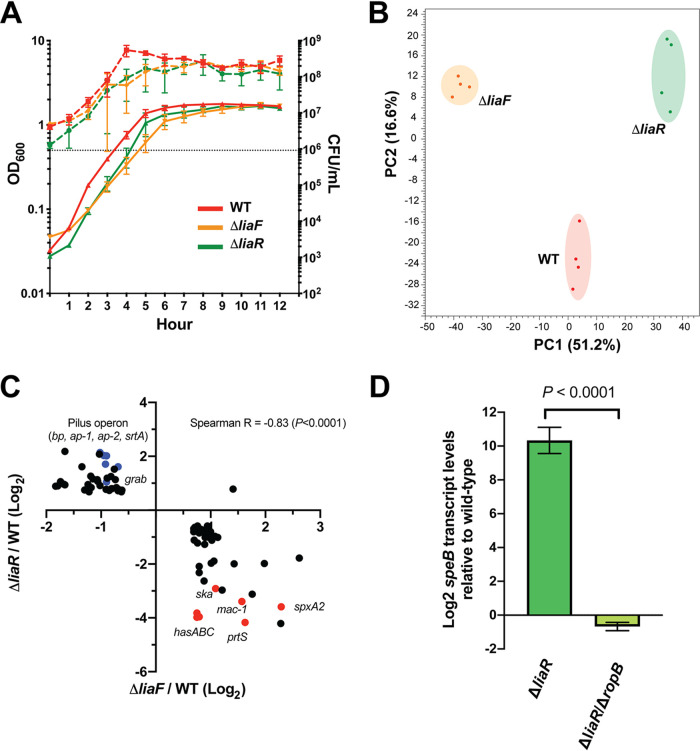 FIG 1