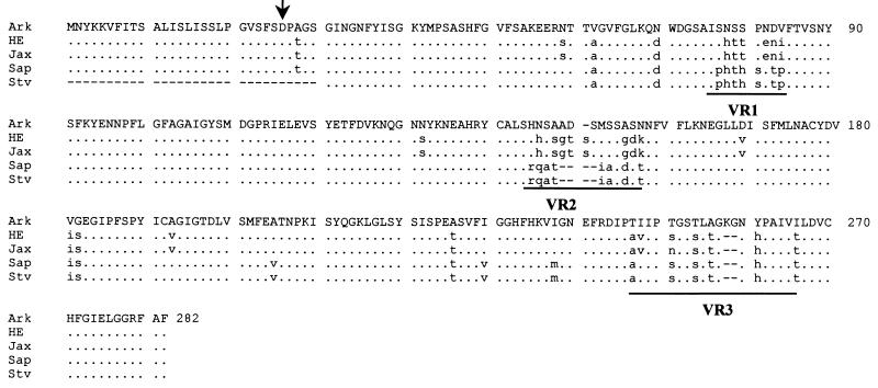 FIG. 1