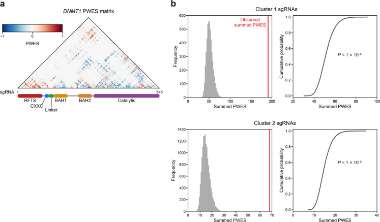 Figure 2—figure supplement 1.