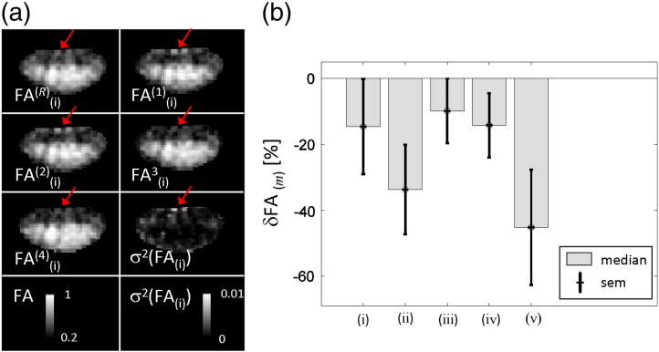 Fig. 7